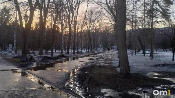 В Омске растаяла уже половина снежного покрова