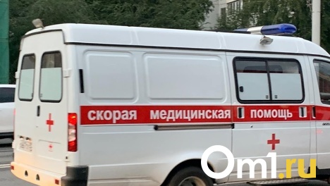 Под Омском страшная авария унесла жизни мужчины и женщины, которые везли восьмилетнего ребёнка