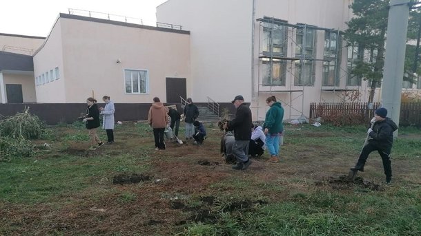 Омские лесхозы высадили около 126 тысяч сосен