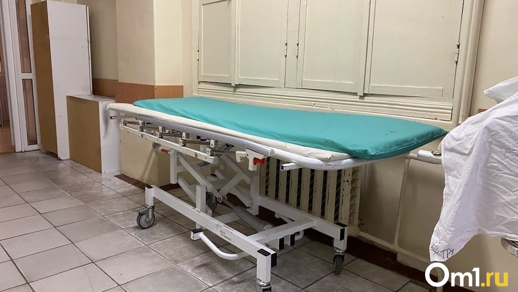 В больнице умерла 4-летняя дочь сбитой на пешеходном переходе многодетной матери в Искитиме