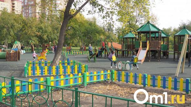 В Омске ребёнка выгуливали на поводке, как собаку
