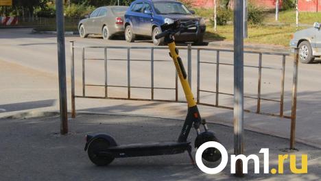 Омичка, которая восемь раз нарушала ПДД, сбила школьника на электросамокате