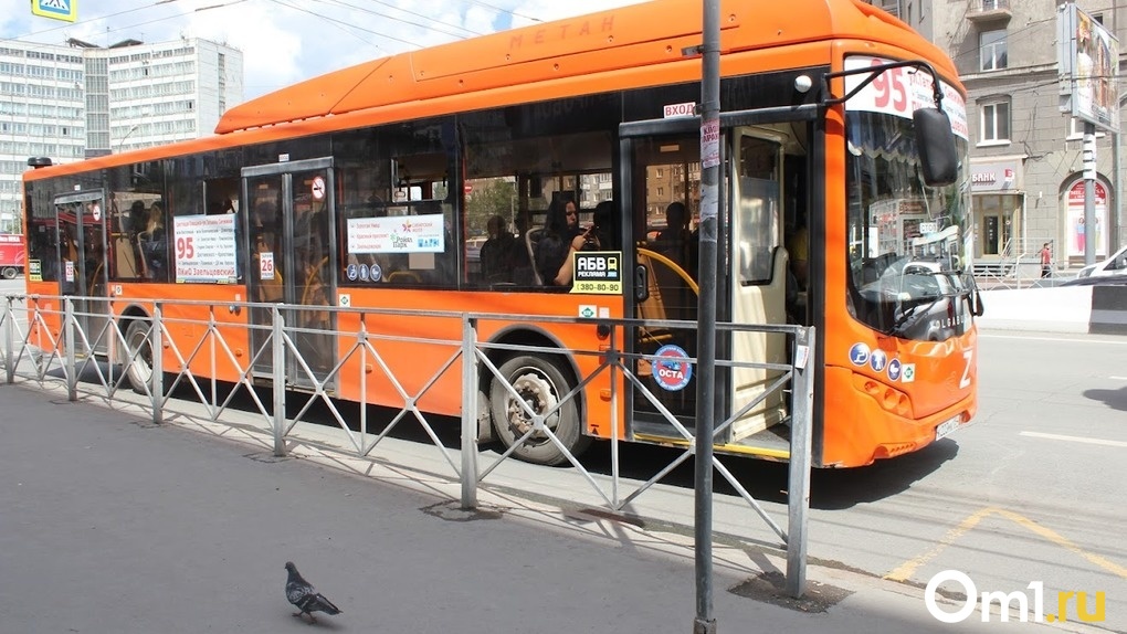 43 новых автобуса завезут в Новосибирск до конца июня