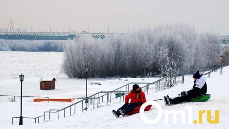 Зима в Омске оказалась нетипично тёплой для Сибири