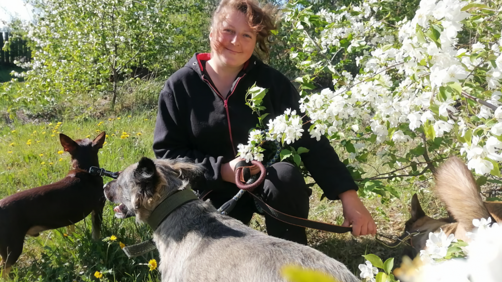«Как я их предам»: жительницу Называевска обязали избавиться от собак, о которых она заботилась два года
