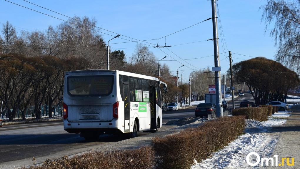 Омский автобус вынужден карабкаться на сугроб, чтобы проехать по маршруту
