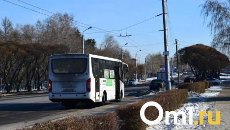 Омский автобус вынужден карабкаться на сугроб, чтобы проехать по маршруту