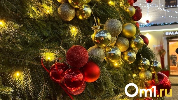 Омичи рассказали, что они делают с ёлками после новогодних праздников