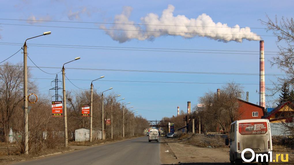 «Осадки из мозгов». Омичей смущает труба, дымящая на окраине города