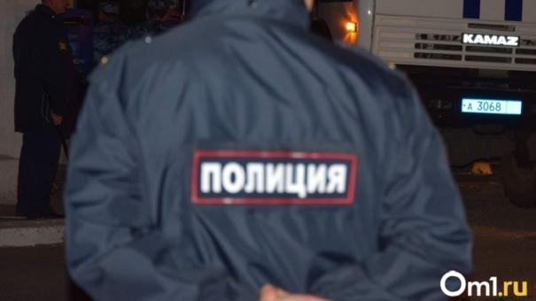 Полиция заинтересовалась видео с дракой двух школьниц под Новосибирском