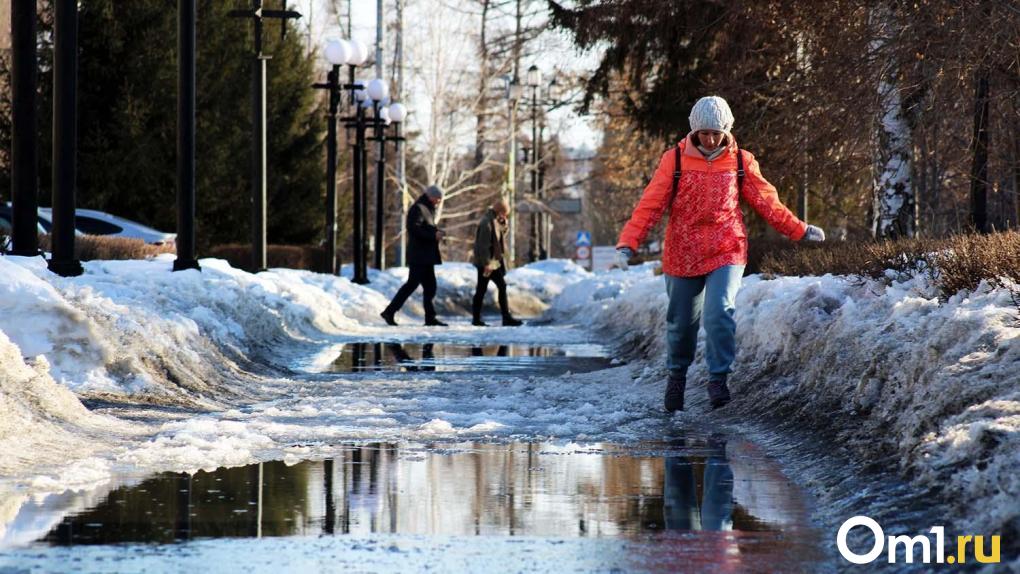 Температура в Омске поставила два рекорда подряд