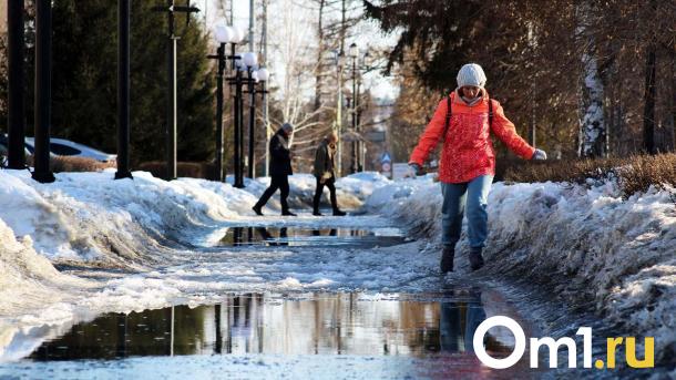 Температура в Омске поставила два рекорда подряд