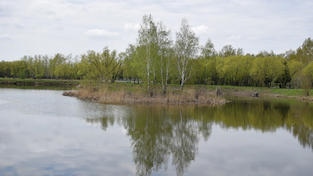 Бизнес на озерах: в Омской области выставили на продажу пять водоемов