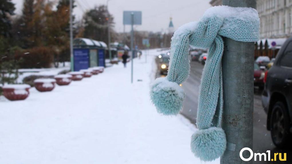 Метель, снежные заносы и снегопад: в выходные в Омск ворвётся зима