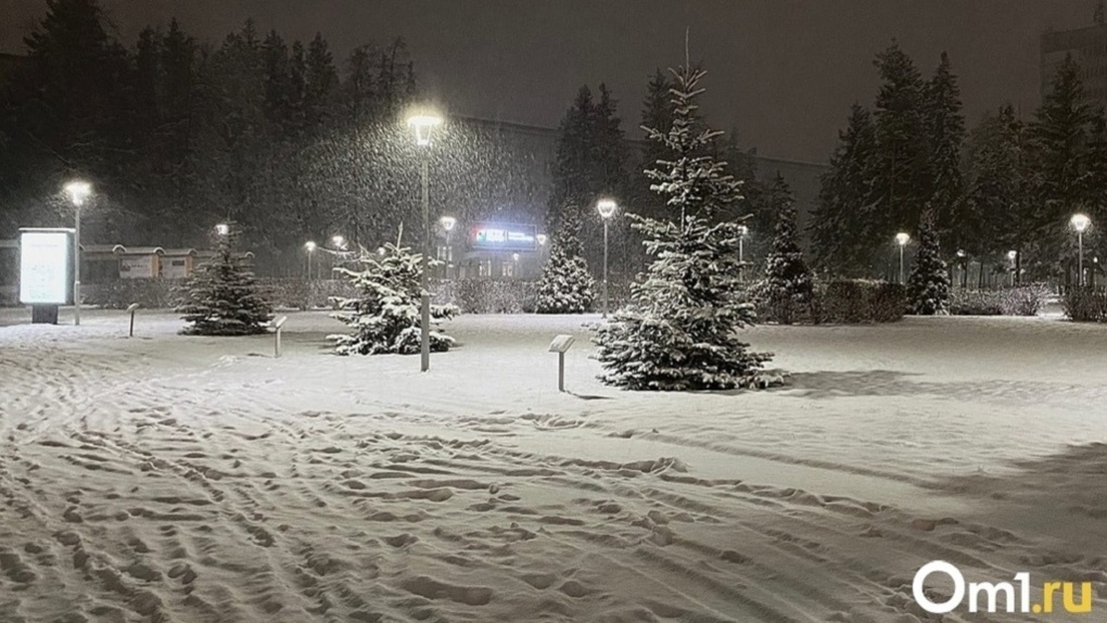 Небольшой снег и тёплая погода ожидается в Новосибирске на выходных