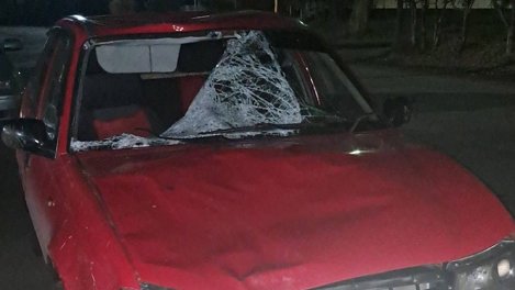 В Омской области водитель сбил насмерть двух человек