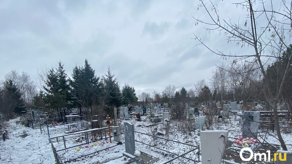 В мэрии прокомментировали появление нового кладбища под Омском на несколько тысяч могил