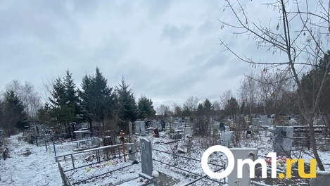 В мэрии прокомментировали появление нового кладбища под Омском на несколько тысяч могил