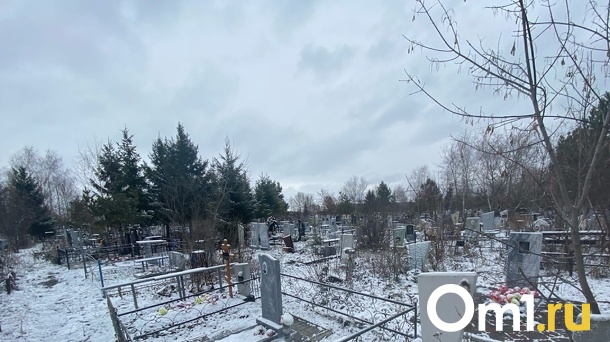 В мэрии прокомментировали появление нового кладбища под Омском на несколько тысяч могил