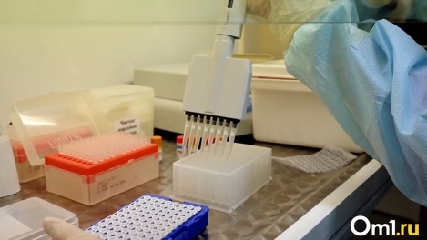 Новый коронавирус обнаружили у шведских грызунов