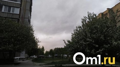 На Левобережье Омска обнаружили двукратное превышение концентрации сероводорода