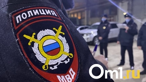 Правоохранители подключились к поиску 12-летнего мальчика из новосибирского Академгородка