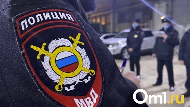 Правоохранители подключились к поиску 12-летнего мальчика из новосибирского Академгородка