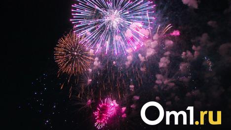 В Новосибирске проведут артиллерийский салют ко Дню защитника Отечества