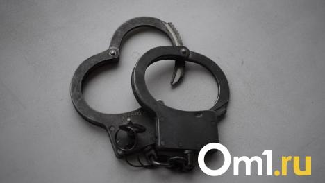 Омич поругался с прохожим и выстрелил в него из ружья