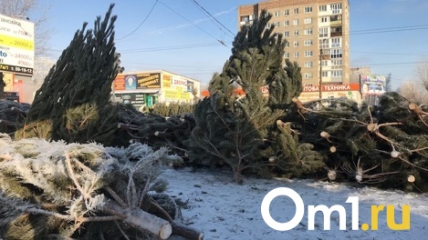 Во всех округах Омска определили места для ёлочных базаров