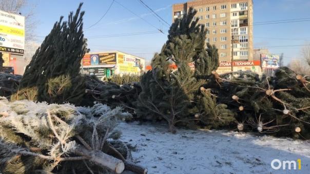 Во всех округах Омска определили места для ёлочных базаров