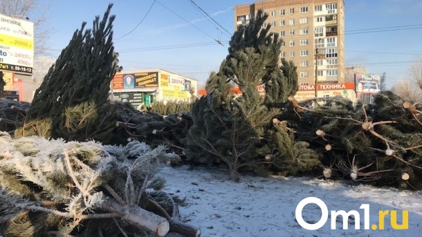 Во всех округах Омска определили места для ёлочных базаров
