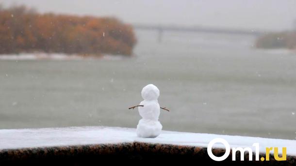 Зима в Омской области отличилась аномальным теплом