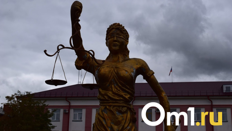 Бывшая глава Новосибирского областного суда Шатовкина подала кассацию на приговор