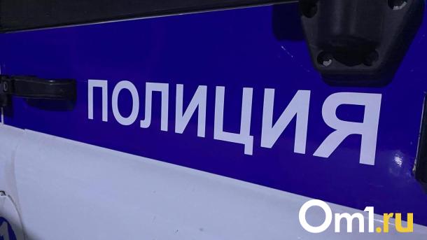 Полиция задержала омича, который устроил конфликт с ножом в ПВЗ