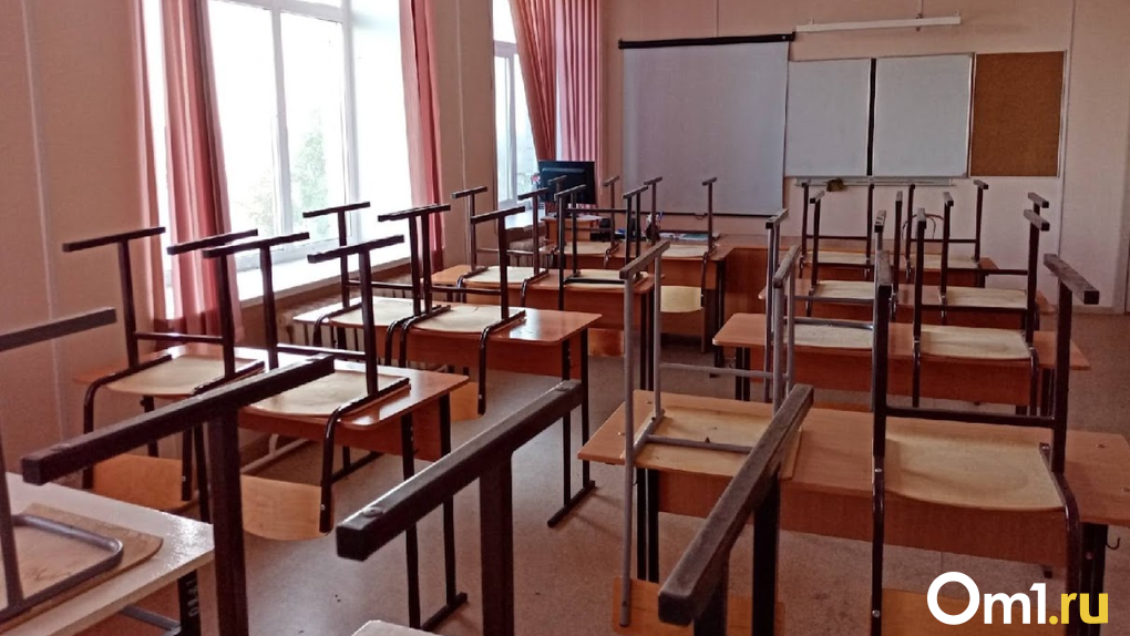 Забастовка не закончилась? В Новосибирске третьеклассники гимназии №10 вышли на учёбу дистанционно