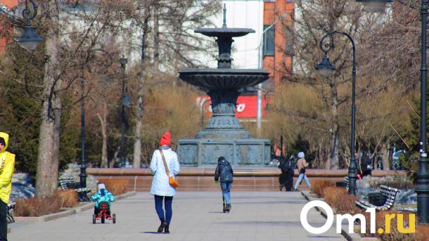 «Это фабрика самоуничтожения»: депутаты Заксобрания могут запретить склонять омичек к абортам