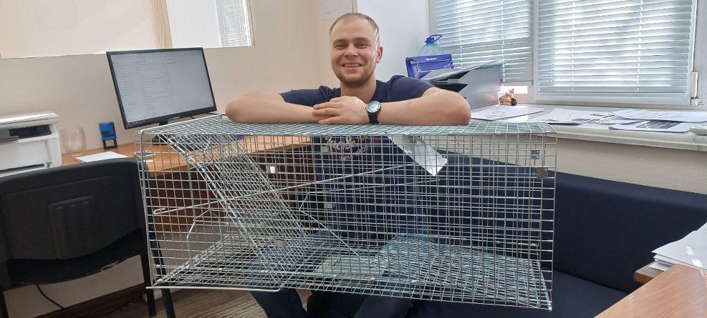 Кошколовки, китайцы, два станка, или Как работать из Омска с Китаем