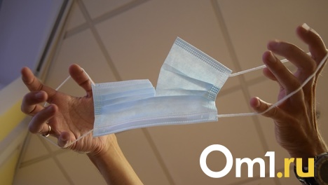 «Когда уходит одна инфекция, на её место приходит другая»: омичей предупреждают о наступающей волне гриппа