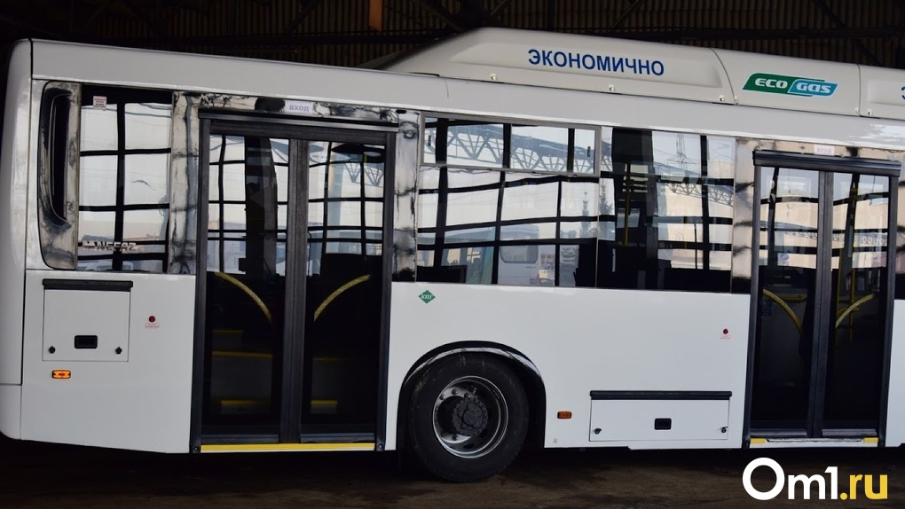 Омичка, выпавшая из автобуса, намерена отсудить у мэрии полмиллиона рублей