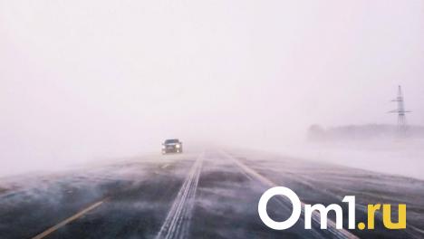 В выходные в Омске пройдут метель, дождь и мокрый снег