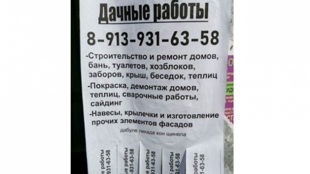 Цыганское проклятие на объявлении обнаружил житель новосибирского Академгородка