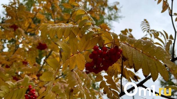Синоптики рассказали, как долго продлится тёплая погода в Омске