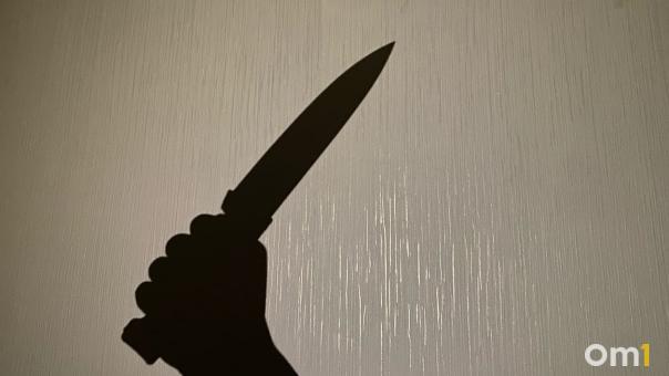 Ещё один омский подросток пытался зарезать члена семьи