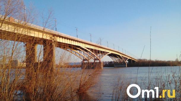 У моста имени 60-летия ВЛКСМ начали вырубать деревья