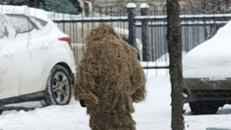 На улицах Омска заметили непонятное существо