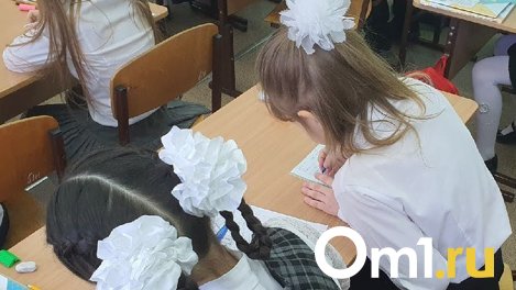 В Омске начали выпускать единую карту для детей от 7 лет
