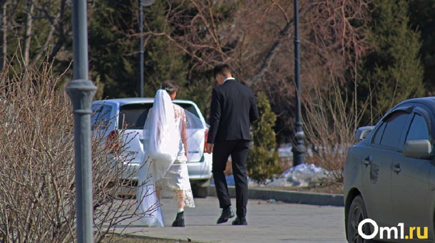 В ЗАГСе рассказали, сколько браков заключили омичи с начала года