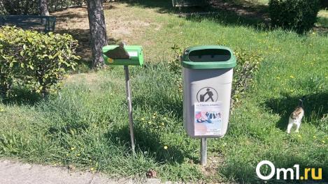 Сила привычки. Омич — о том, как нам сосуществовать с собаками