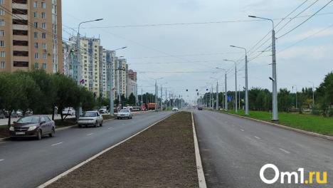 На бульваре Архитекторов в Омске высадят 10 тысяч кустарников и деревьев